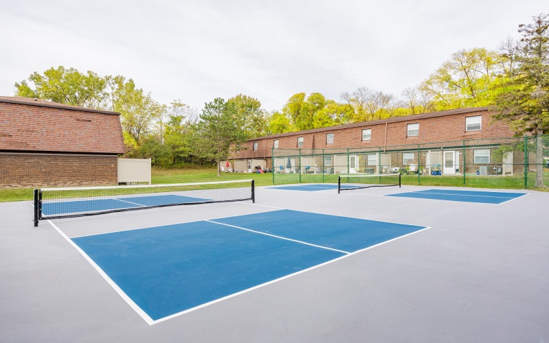 a large pickleball court