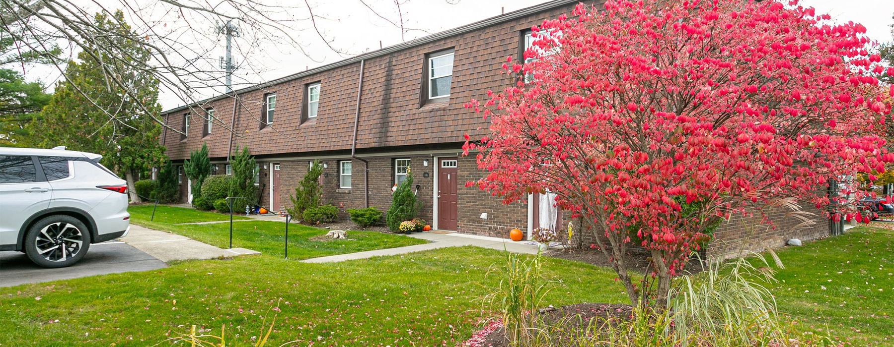 a tree with pink flowers in front of a brick building